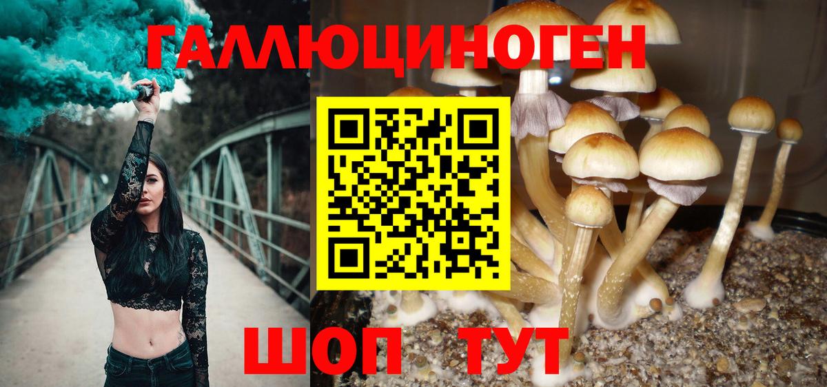 Псилоцибиновые грибы Psilocybine cubensis  Вход с VPN  где найти наркотики  Муром 